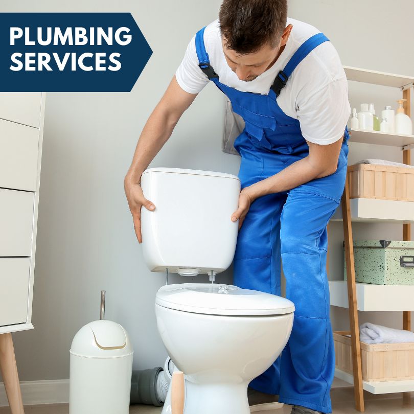 Plumbing Company in Oak Brook, IL